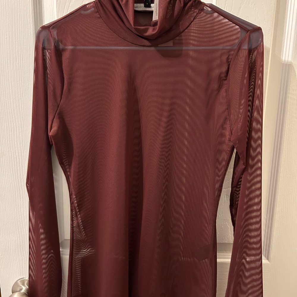 Elegant Sheer Maroon Top